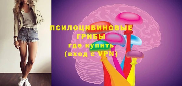 гашик Алексеевка