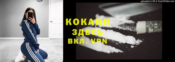 дурь Алексин