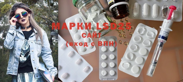 ПСИЛОЦИБИНОВЫЕ ГРИБЫ Магас