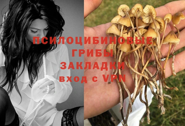 гашик Алексеевка